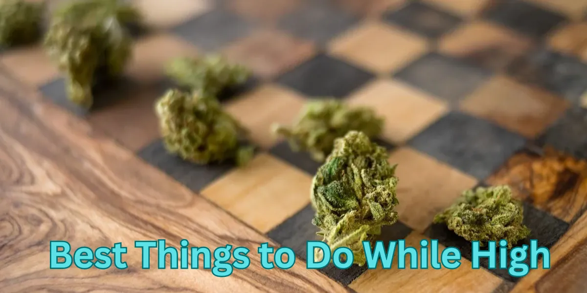 Best Things to Do While High