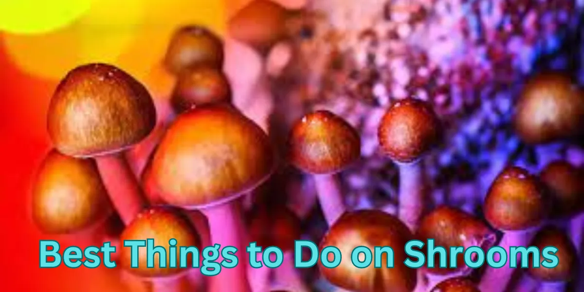 Best Things to Do on Shrooms
