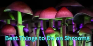 Best Things to Do on Shrooms